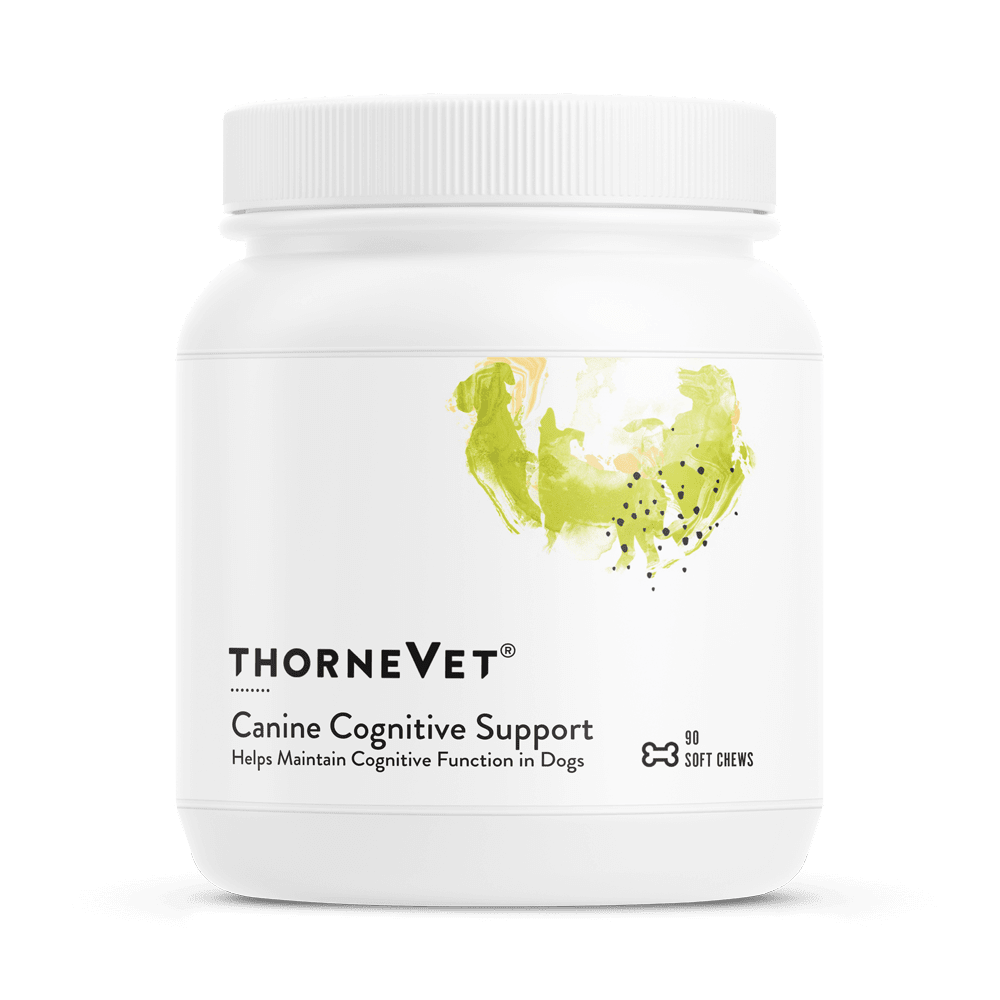 Canine Cognitive Support - 90 Soft Chews Default Category Thorne Vet 